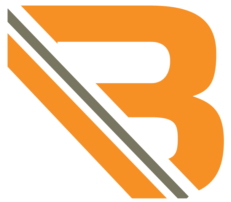 Bhanix Finance Logo